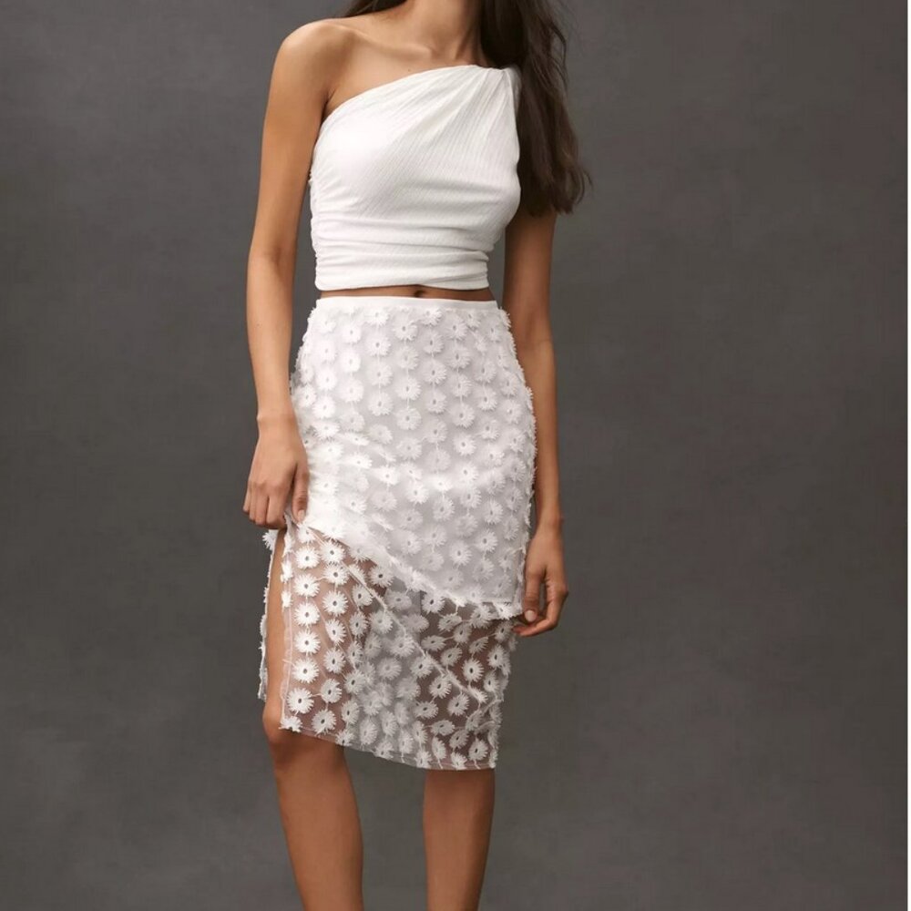 Anthropologie 3D Texture Sheer Slip Midi Skirt size Small NWT